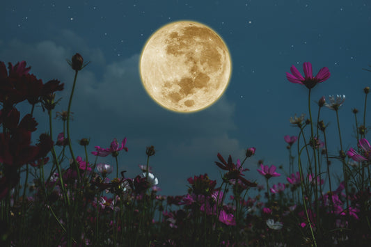 Total Lunar Eclipse in Pisces, September 1 - September 9th 2025