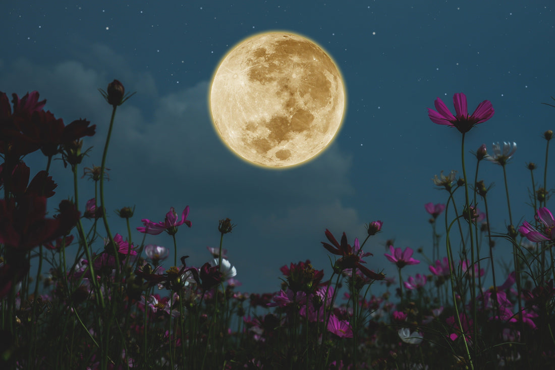 Total Lunar Eclipse in Pisces, September 1 - September 9th 2025